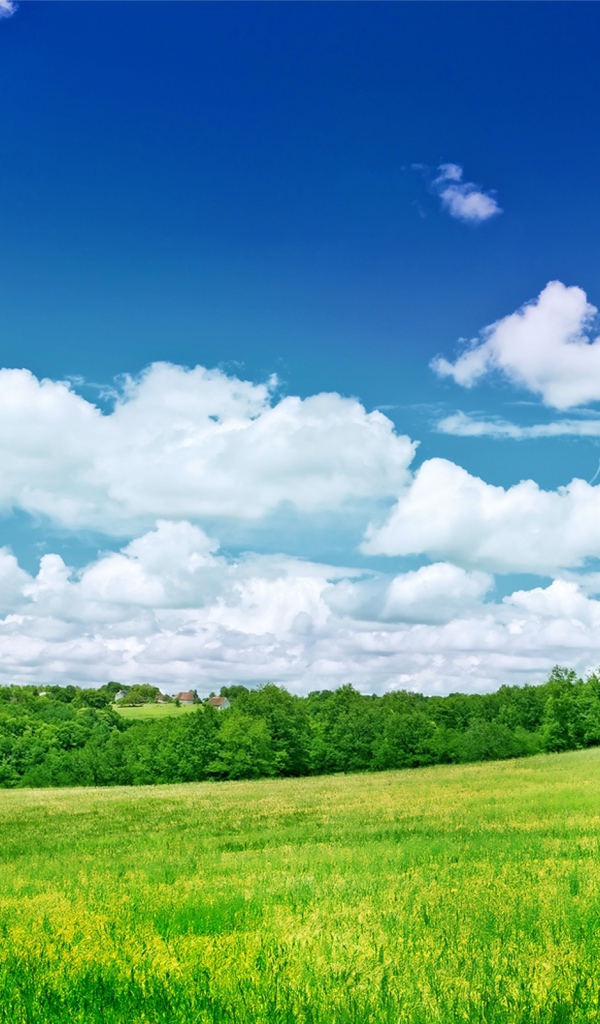 Прекрасная природа