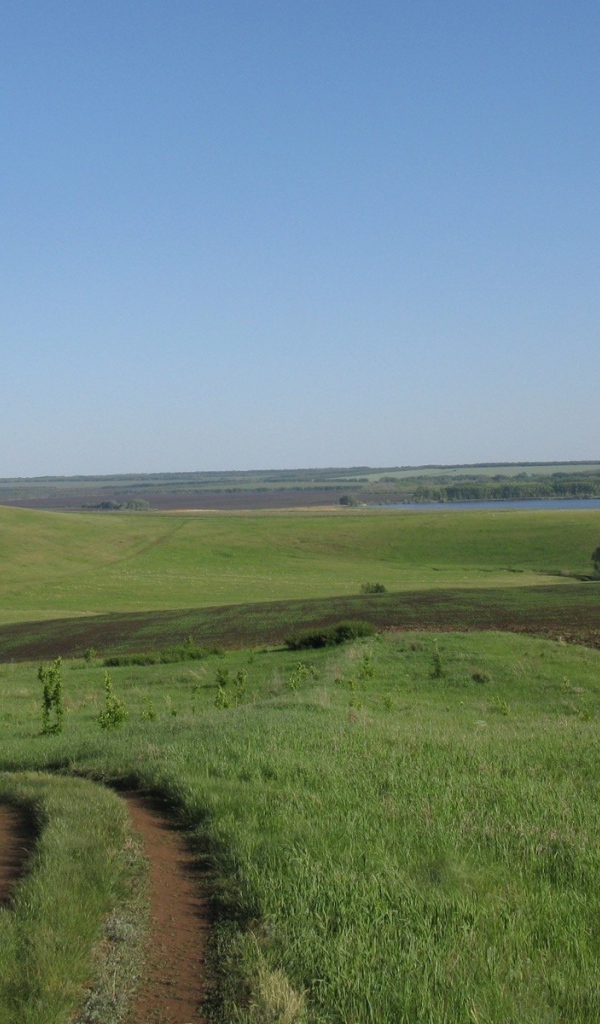 Поле и река