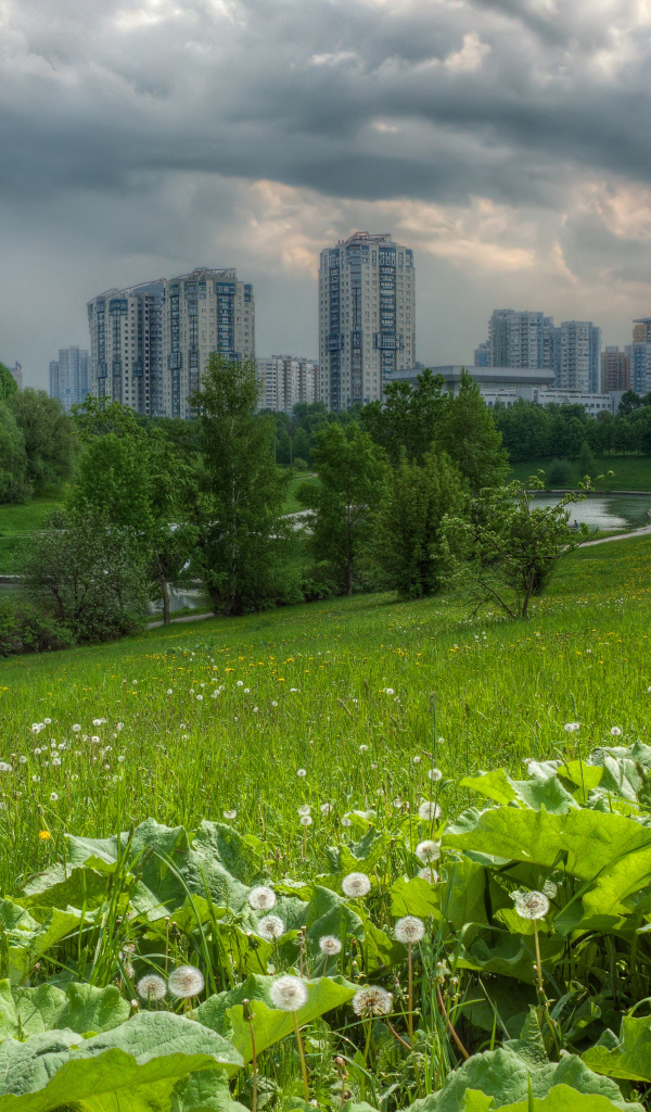 Поле на окраине города