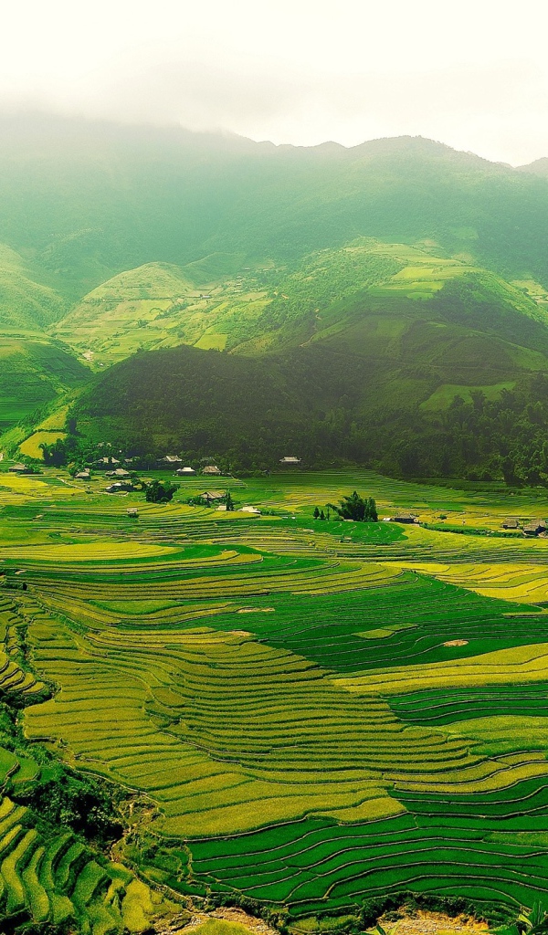 Зеленые поля в горной долине