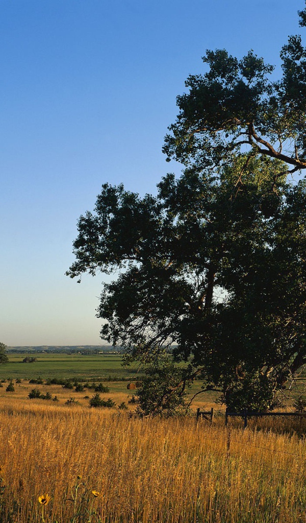 Пейзаж России
