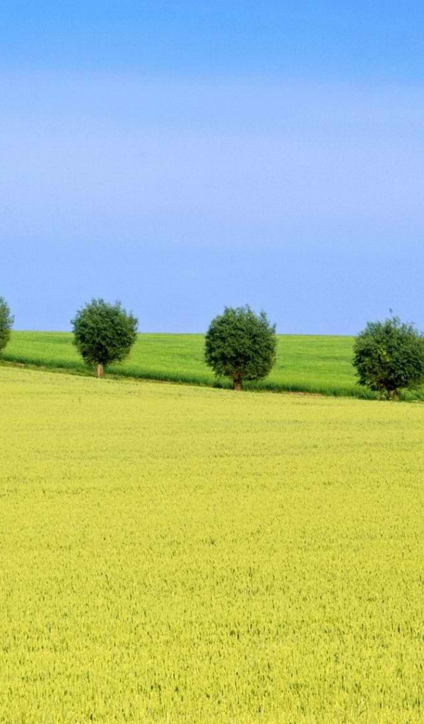 Природа Швеции