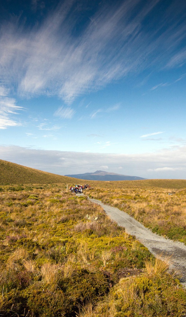 Пейзаж в Новой Зеландии