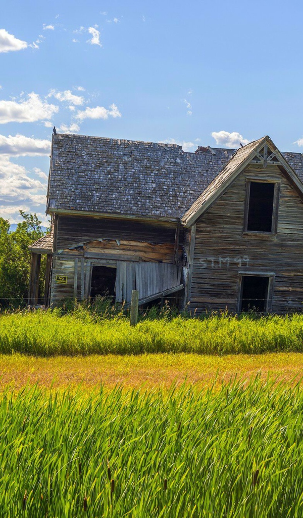 Старый дом в поле
