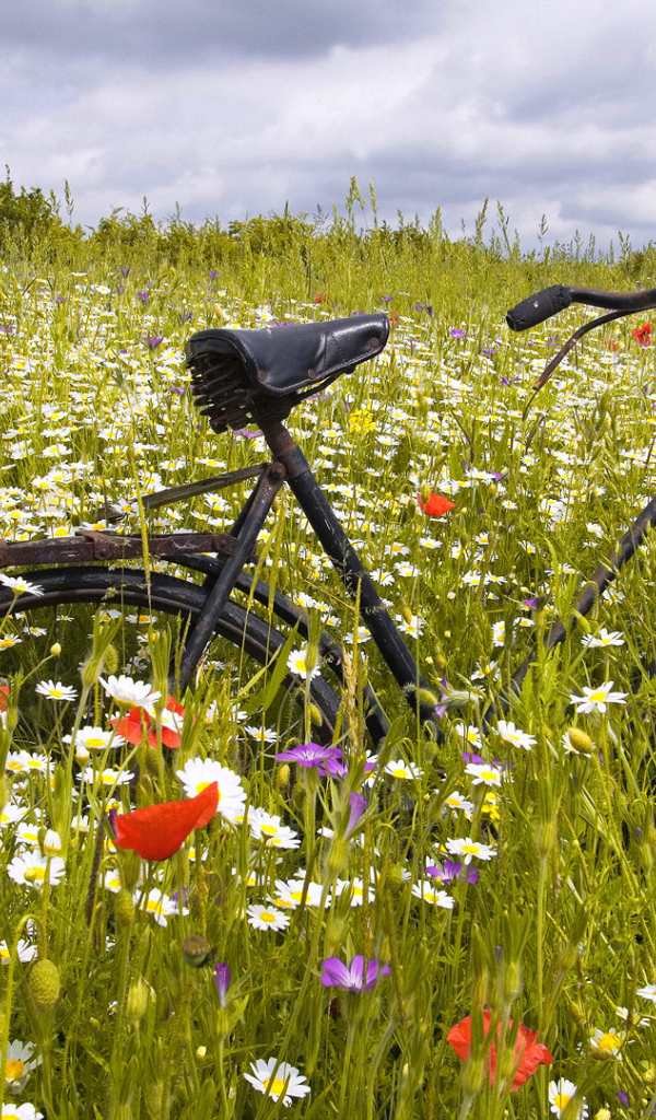 Старый ржавый велосипед