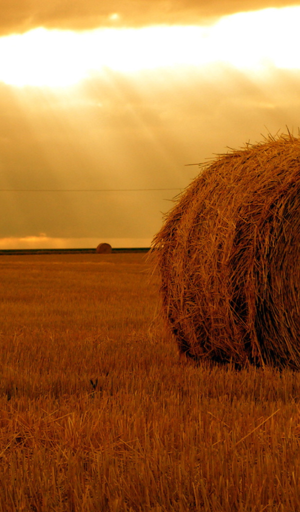 Рулон соломы