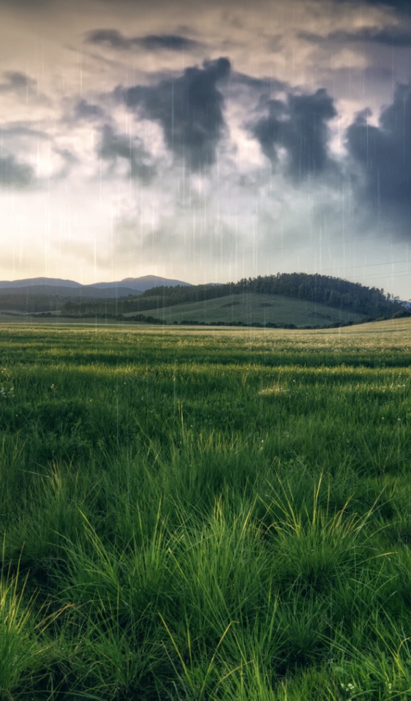 Весенний пейзаж