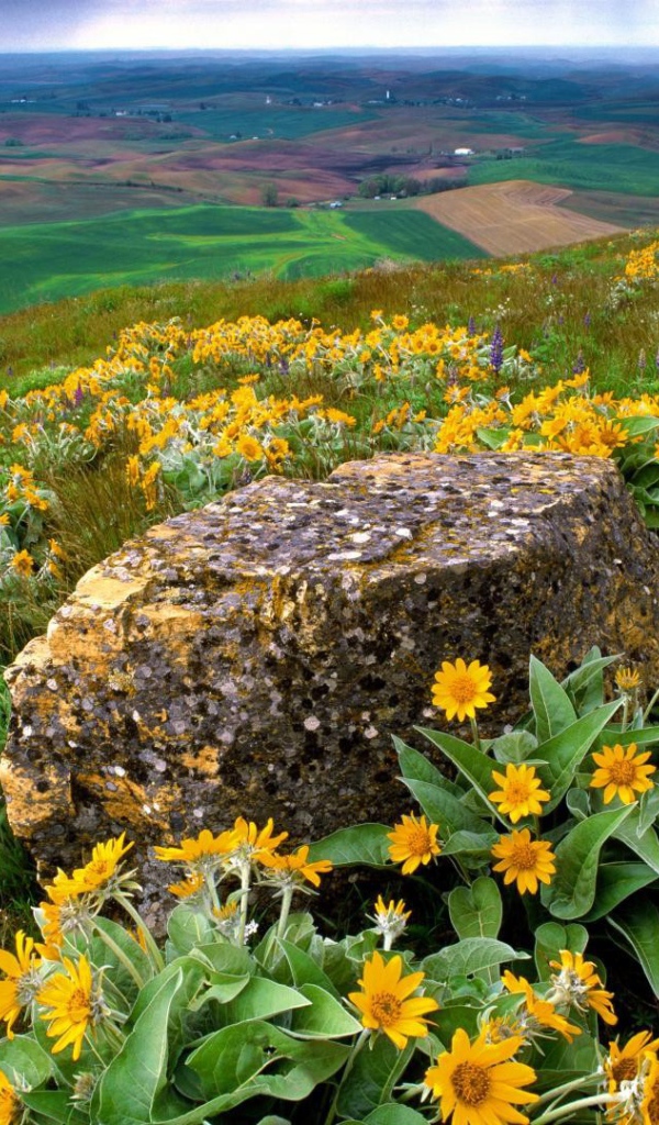 Пейзаж штата Вашингтон