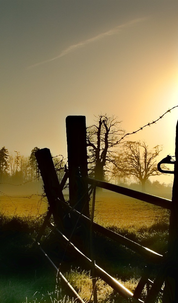 Старая ограда из колючей проволоки