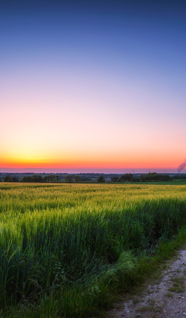 Дорога по краю поля