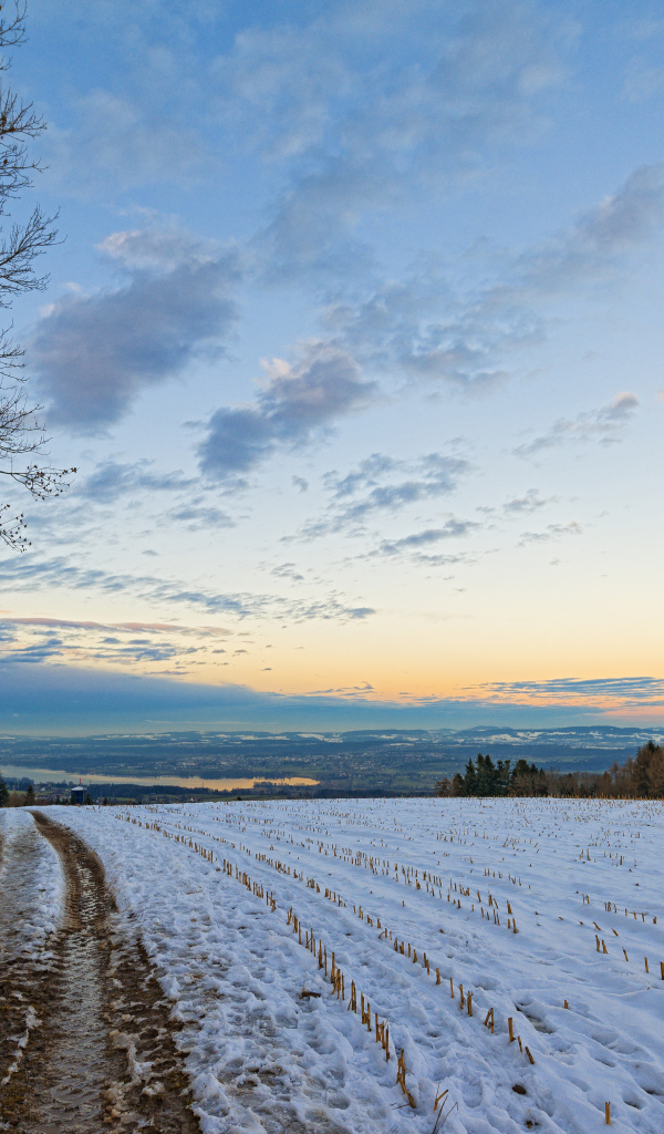 Дорога в зимнем поле