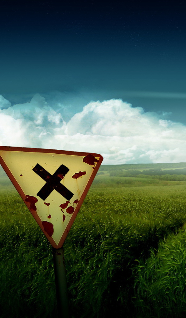 Знак на поле