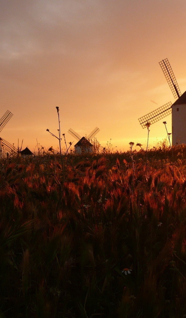 Ветряные мельницы на поле