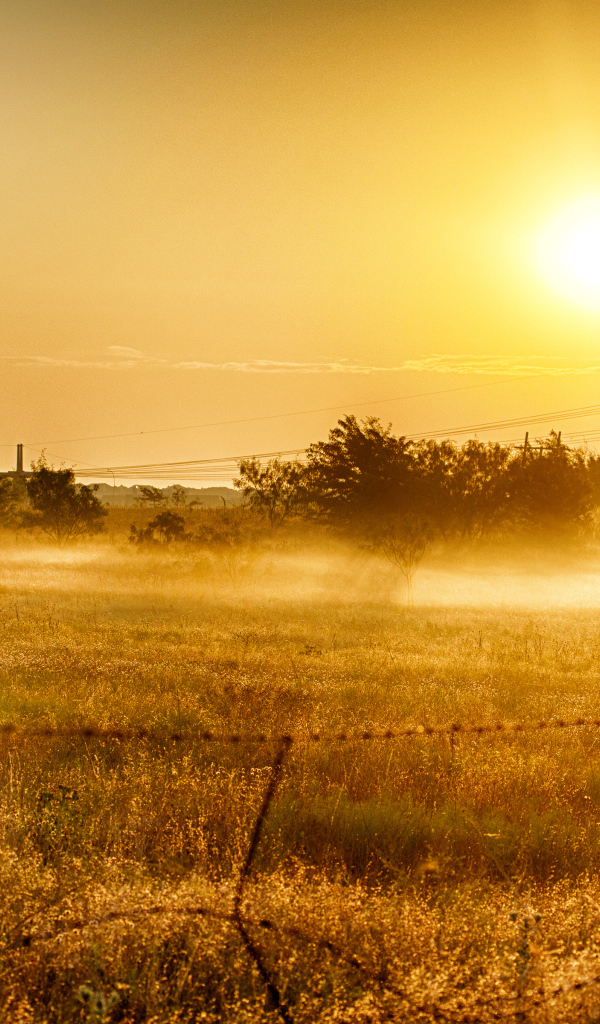 Чудесный рассвет в деревне