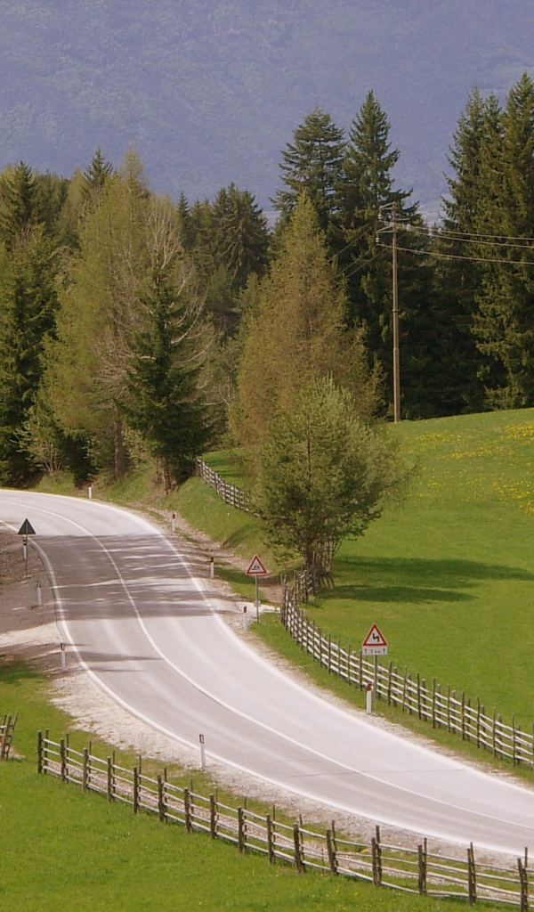 Забор вдоль дорги