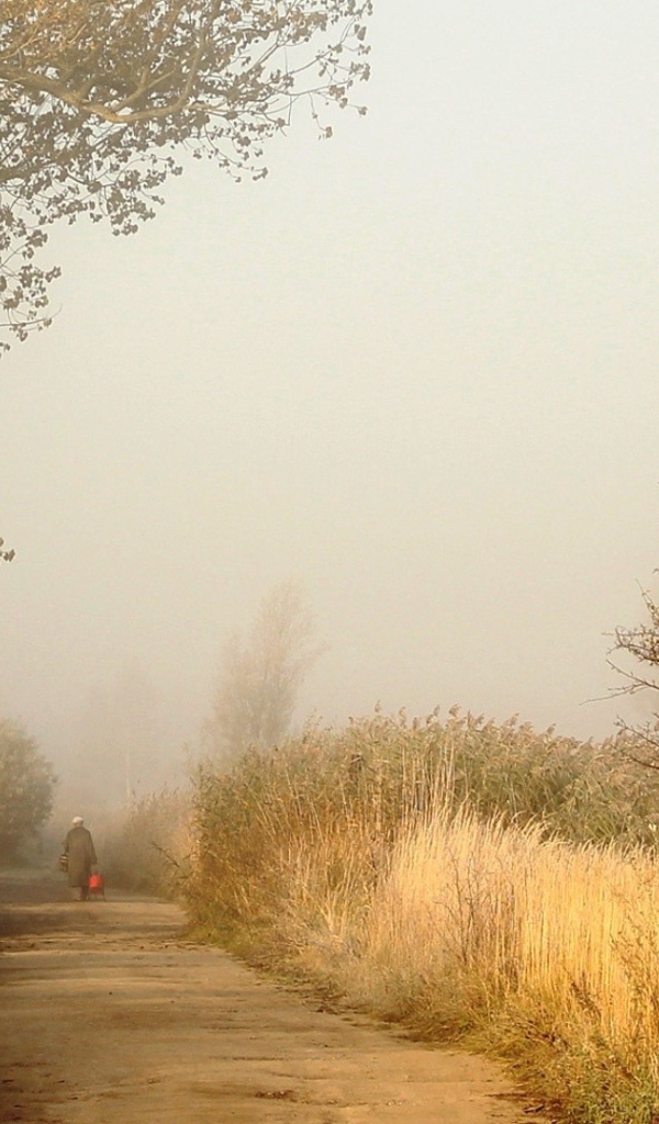 Одинокий человек на дороге