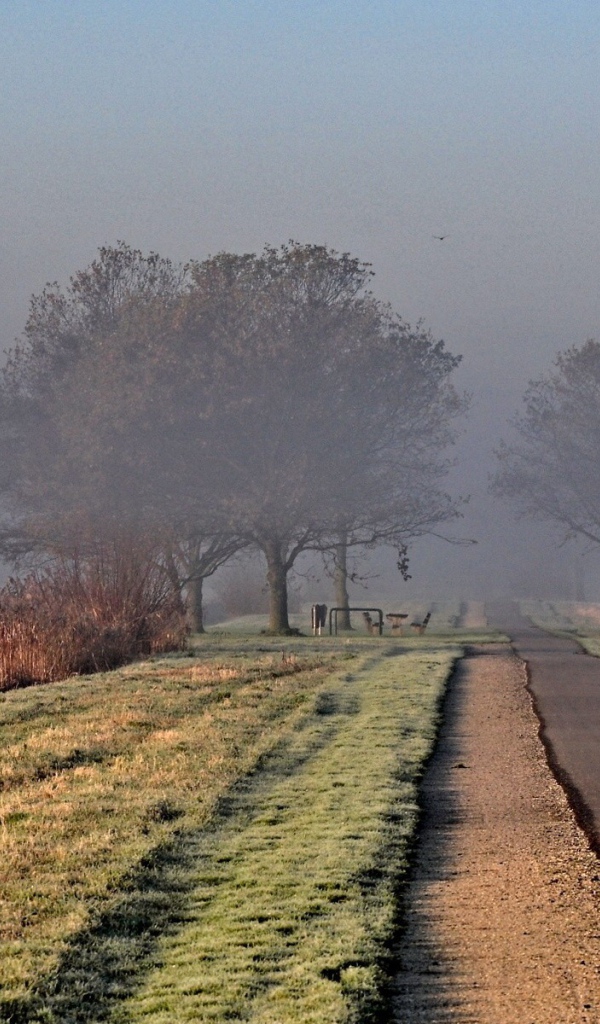 Дорога ведущая в туман
