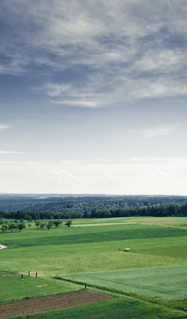 Поля и леса до горизонта