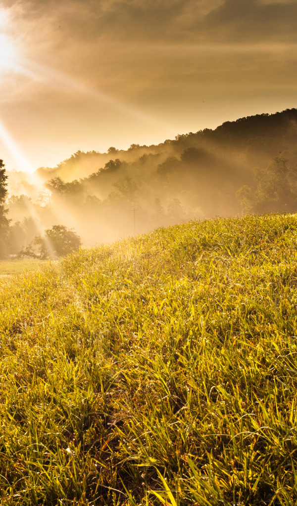 Холм в солнечных лучах