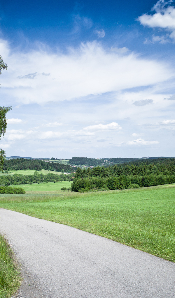 Дорога через поле