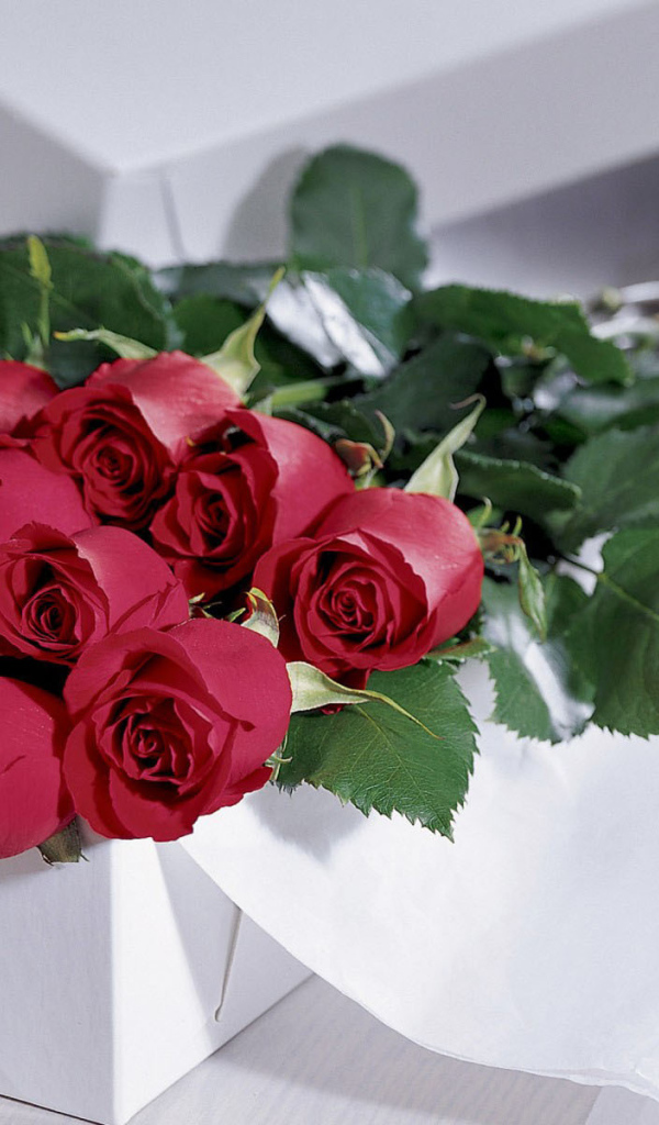 Подарок и букет роз