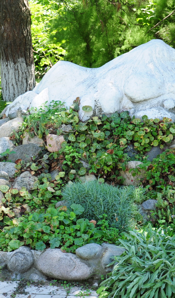 Альпийская горка в саду