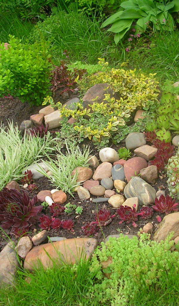 На дачном участке красивая альпийская горка