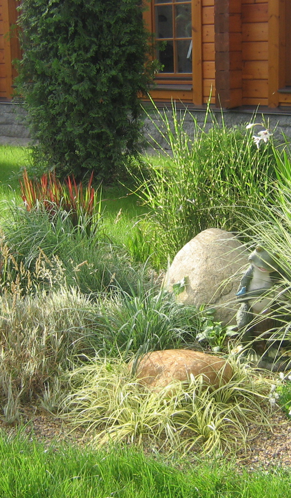 Красивая альпийская горка возле дома