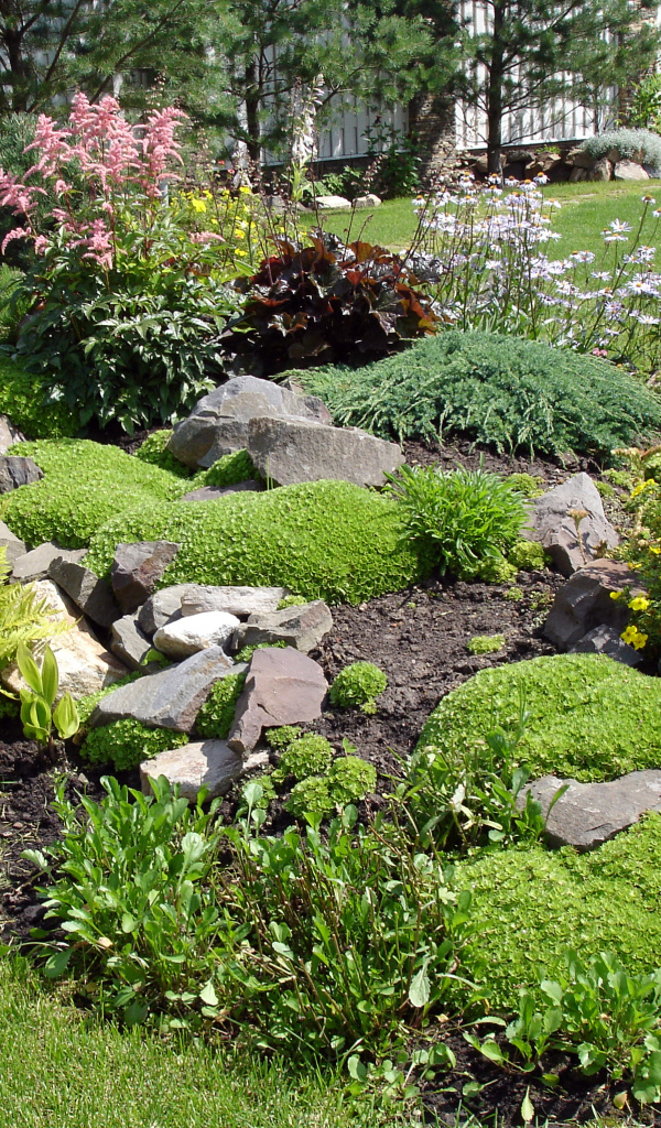 Красивая альпийская горка на дачном участке