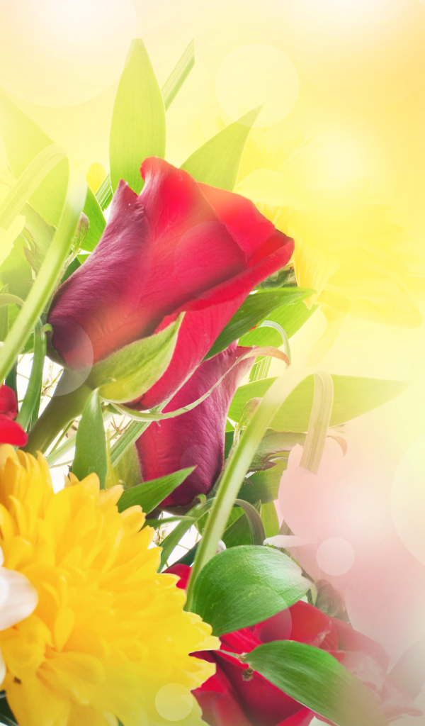 Хризантема и роза красивый букет