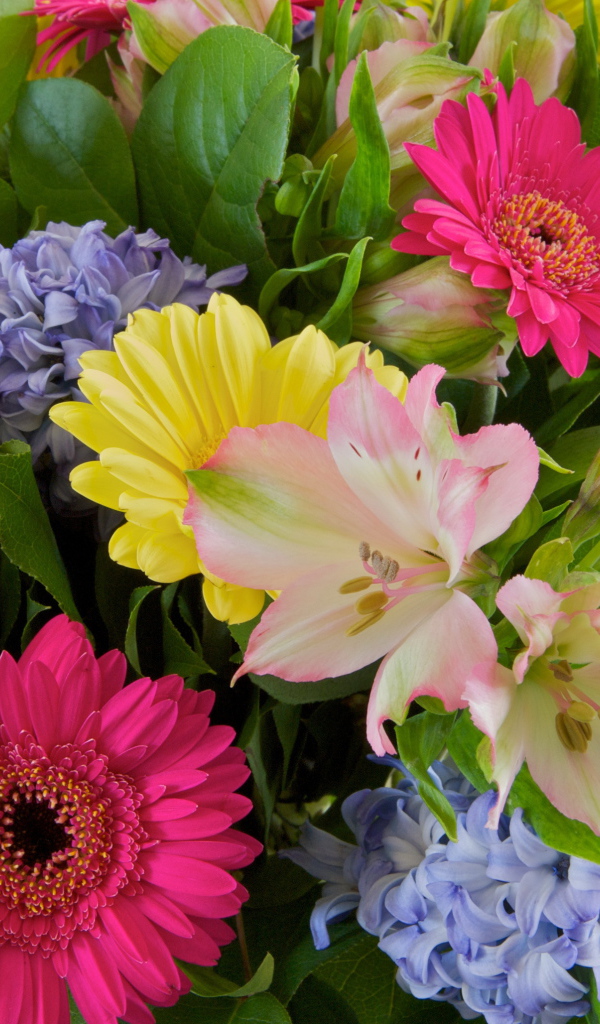 Красивый букет цветов гербера