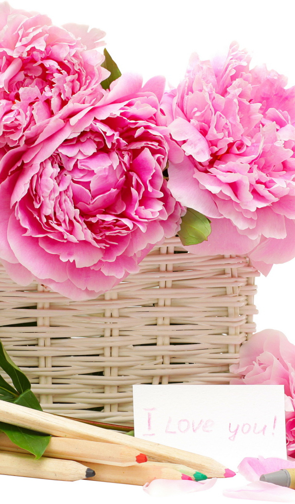 Красивый рисунок цветы пионы