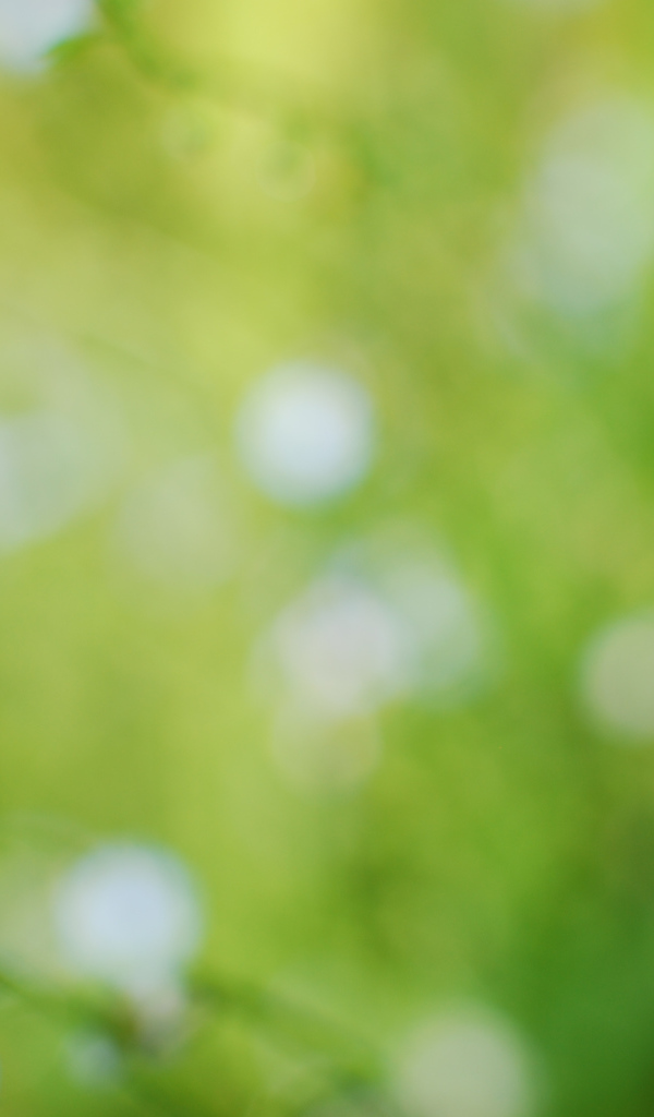 Цветы голубые анютины глазки на поляне