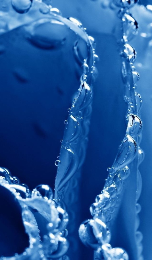 Синяя роза в пузырьках воздуха