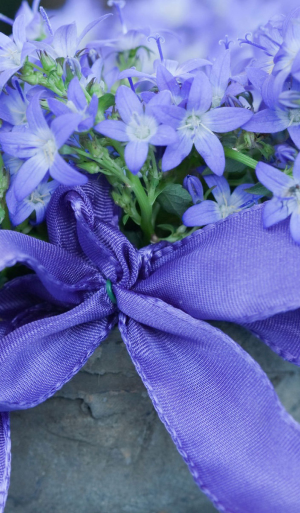 Колокольчики в горшке