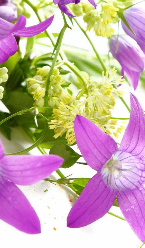 Букет из колокольчиков