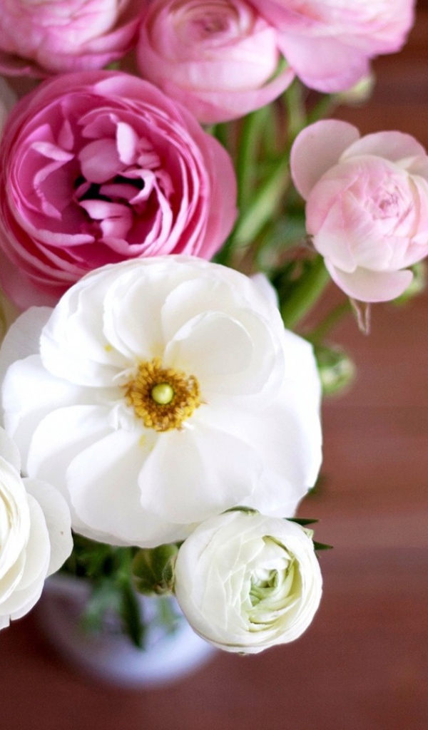 Букет из бутонов