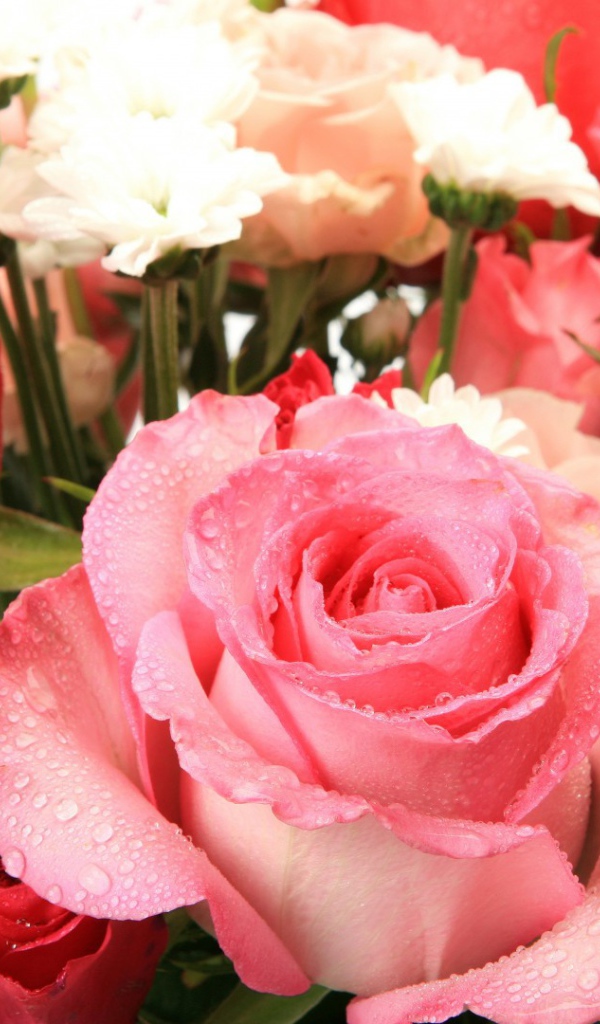 Букет из влажных роз