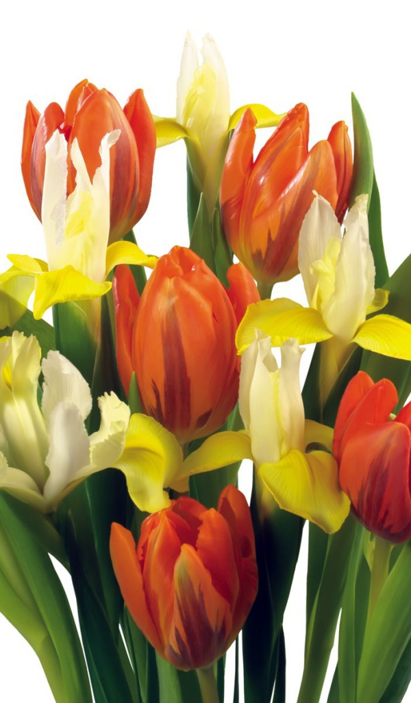 Букет тюльпанов и других цветов