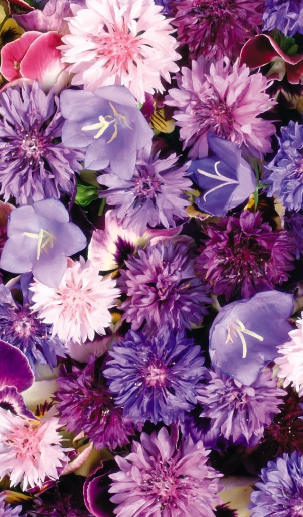 Букет полевых цветов