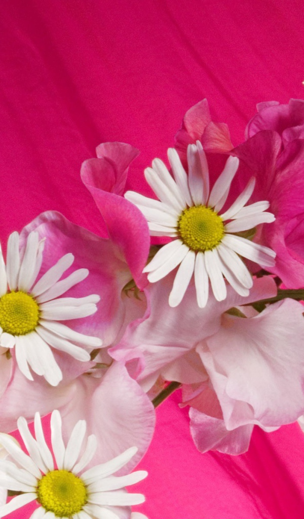 Букет на розовом фоне