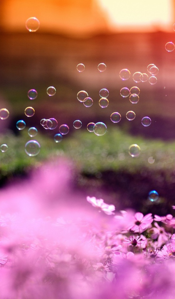 Мыльные пузыри