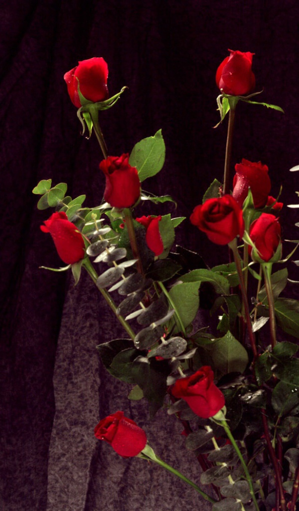 Букет красных роз