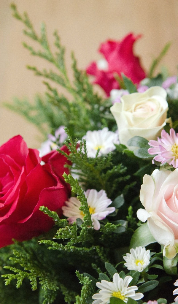 Цветы хризантема и роза