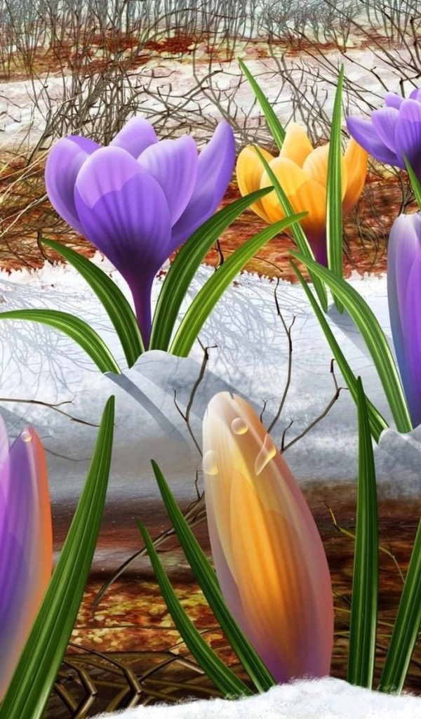 Крокусы на снегу