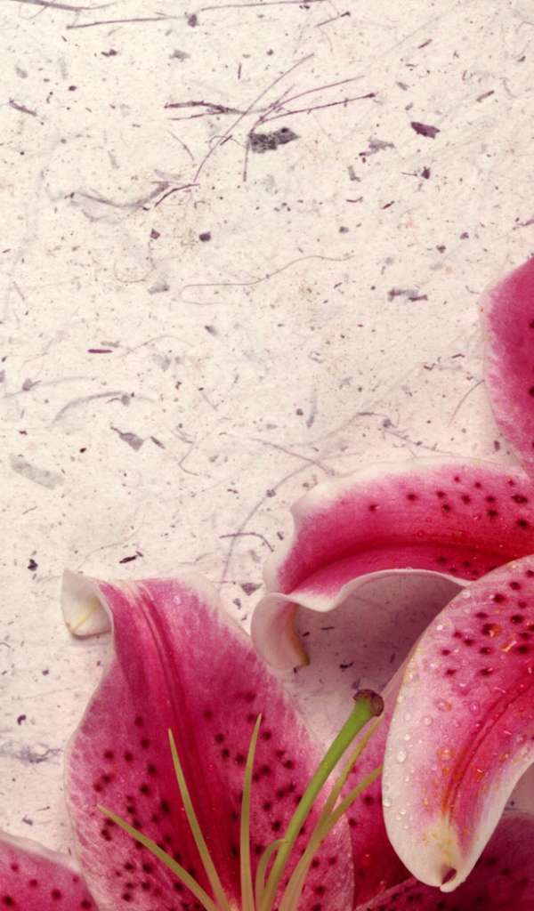 Декор Лилия