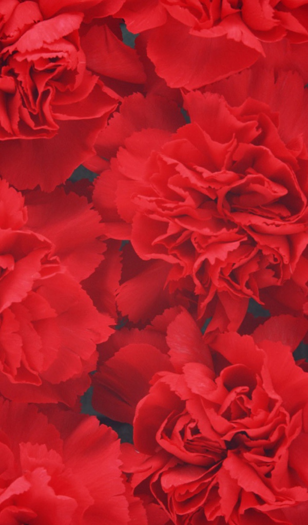 Цветочный фон