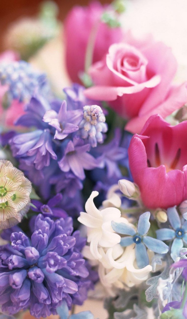 Декоративные цветы