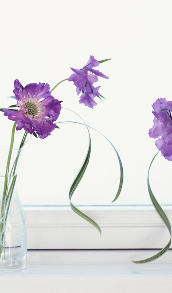 Цветочная декорация