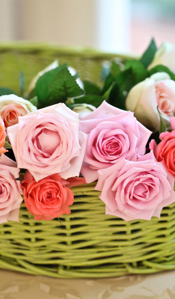 Цветы розы в корзине
